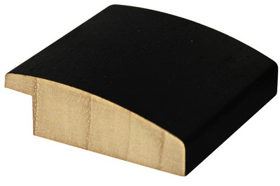 DANTIK rámeček 30x40 | LEDVINKA černá (Plexi Čiré)