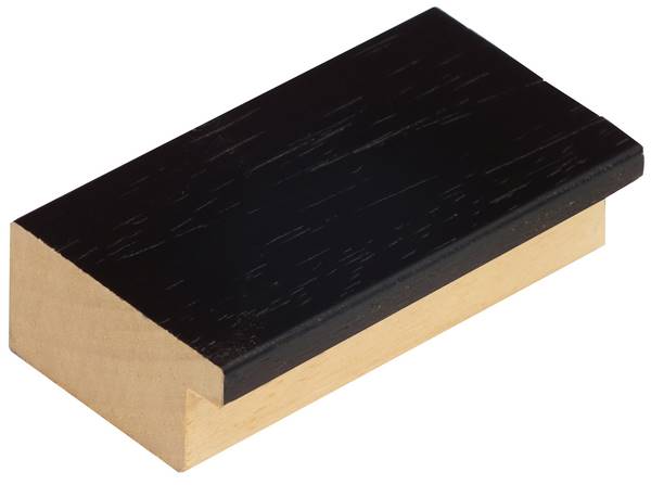 DANTIK Zrcadlo 70x90 4020 černá