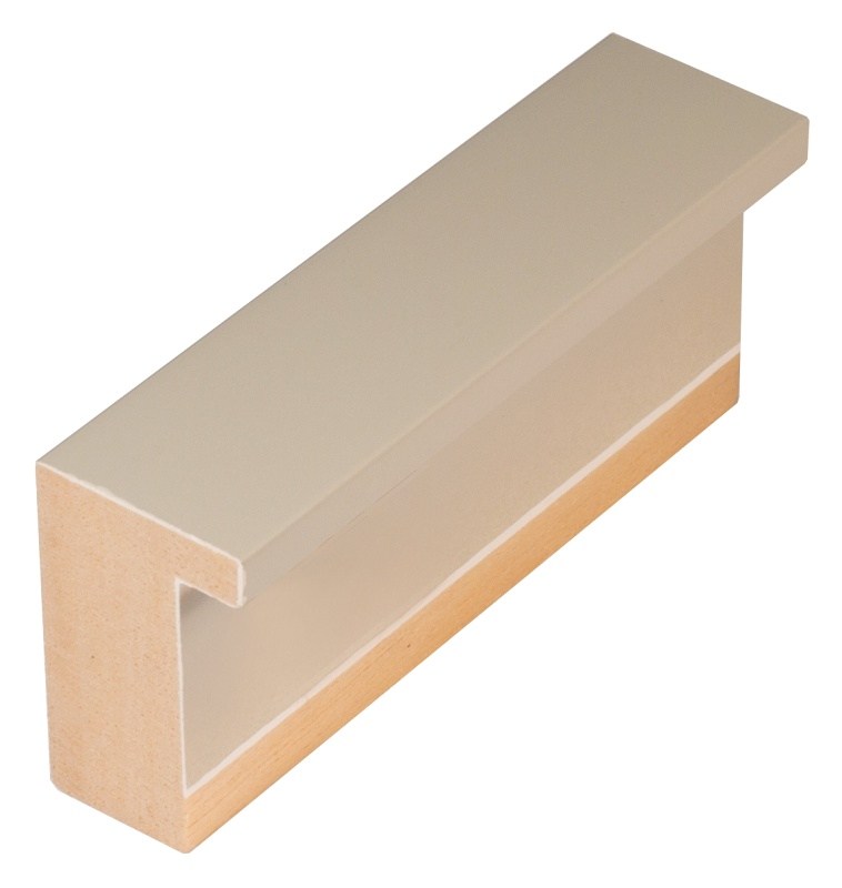 DANTIK Zrcadlo 50x100 KASSETTE světle šedá