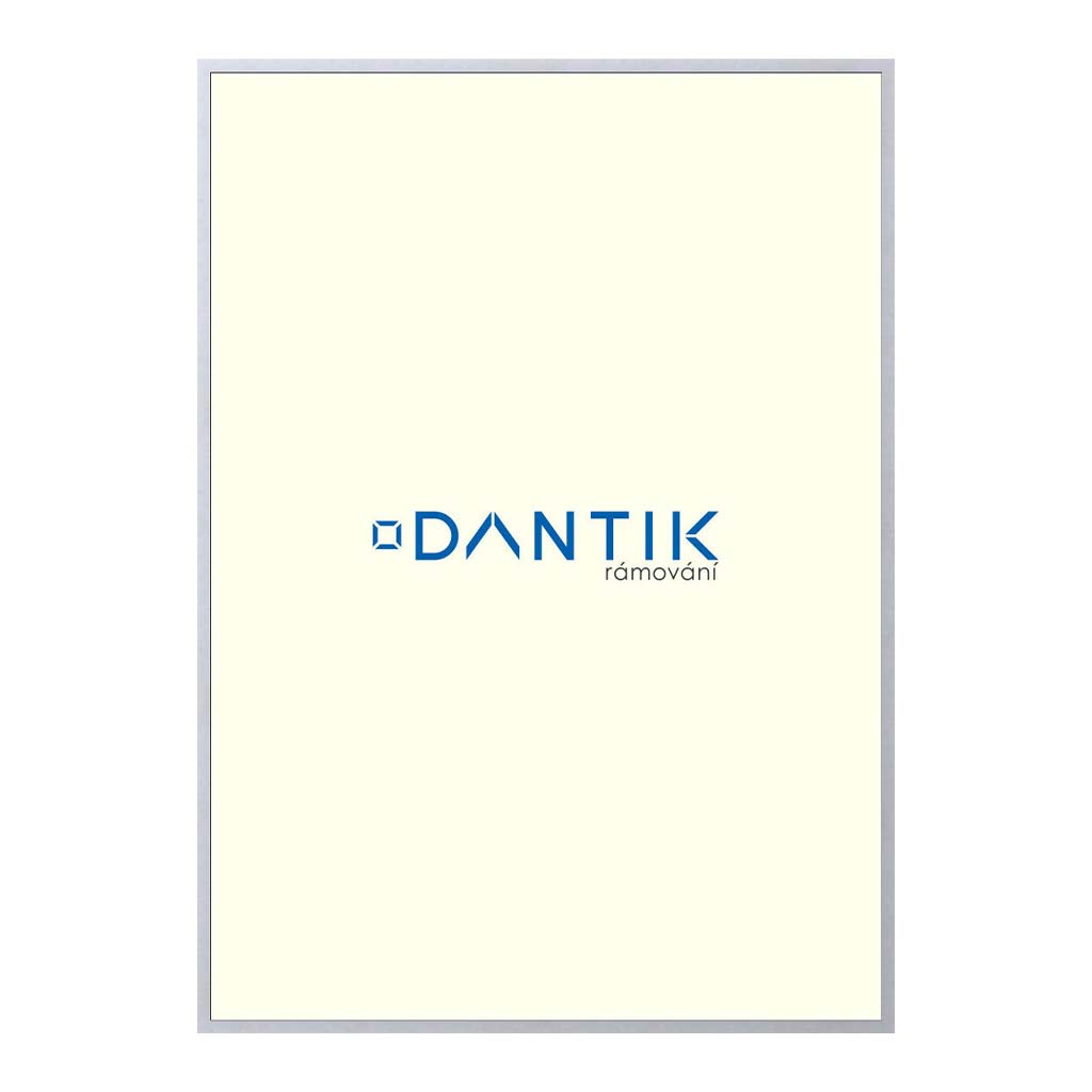 50,5x70,5 | Rám Nielsen 7003004 stříbrný Galerijní čiré PLEXI