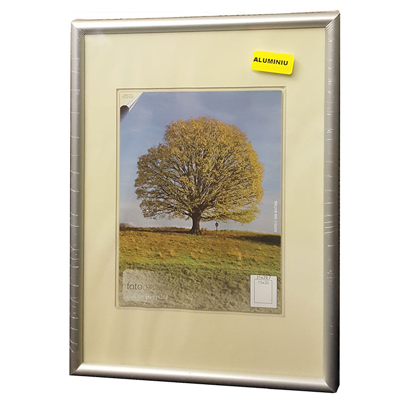 18x25,4 | Stříbrný Rychlorám úzký hliník PLEXI čiré [BN]