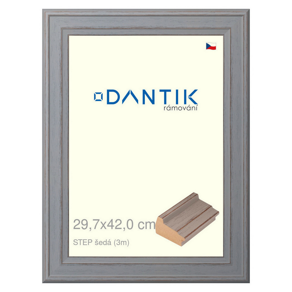 DANTIK rámeček 29,7x42 | STEP šedá (Plexi Čiré)