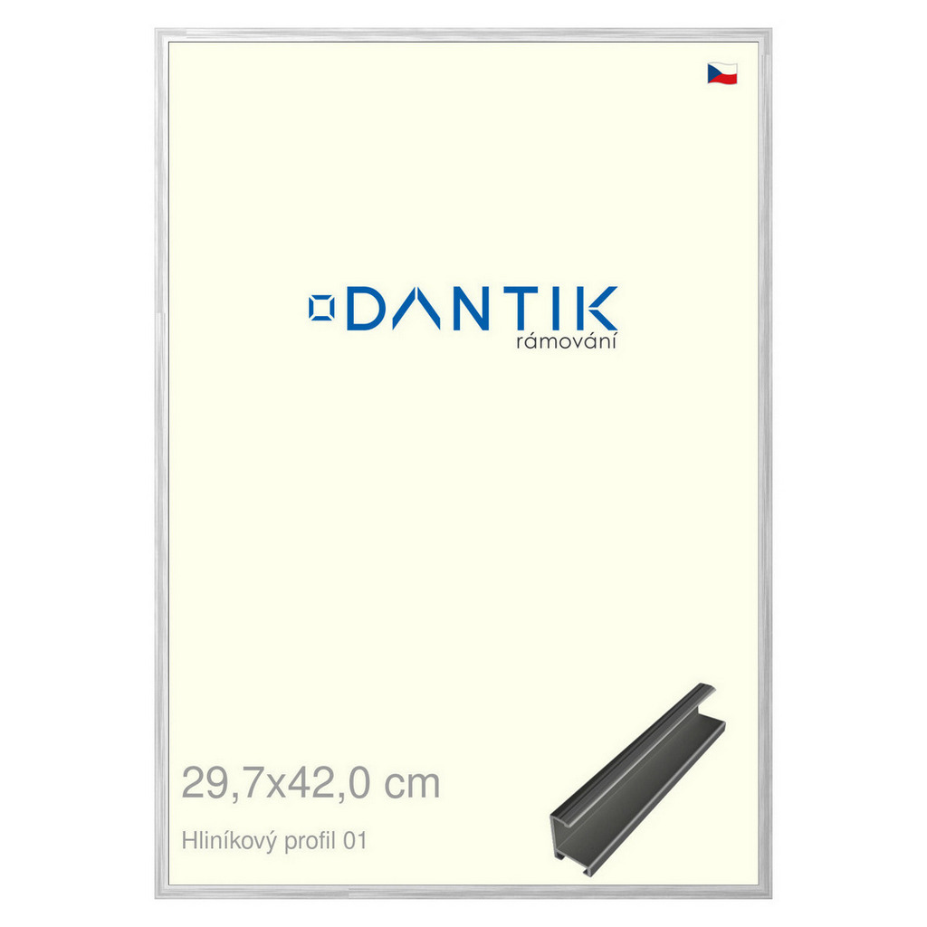 DANTIK rámeček 29,7x42 | ALU profil 7001 Stříbrná lesklá (Plexi Čiré)