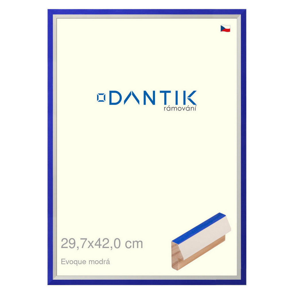 DANTIK rámeček 29,7x42 | EVOQUE modrá (Plexi Čiré)