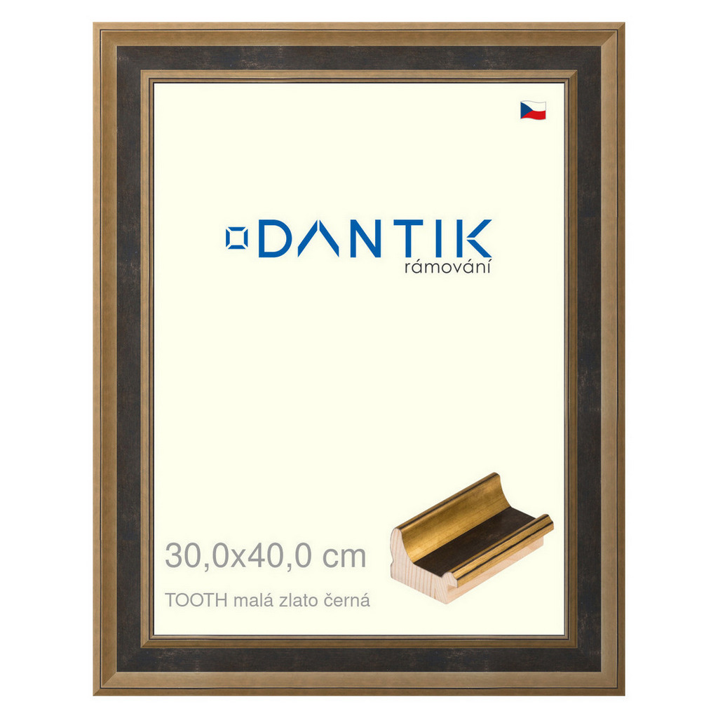 DANTIK rámeček 30x40 | TOOTH malá zlato černá (Plexi Čiré)