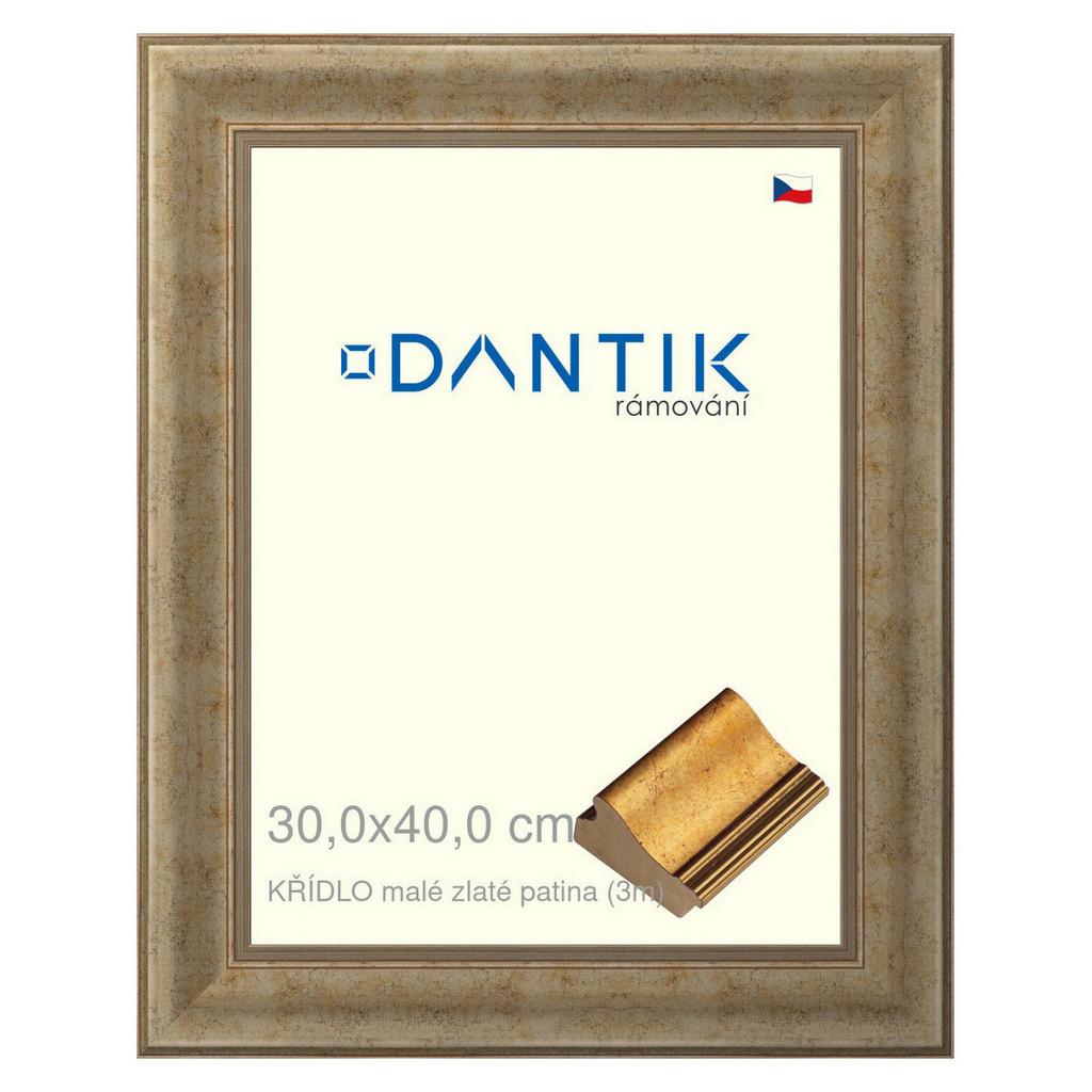 DANTIK rámeček 30x40 | KŘÍDLO malé zlaté patina (Plexi Čiré)