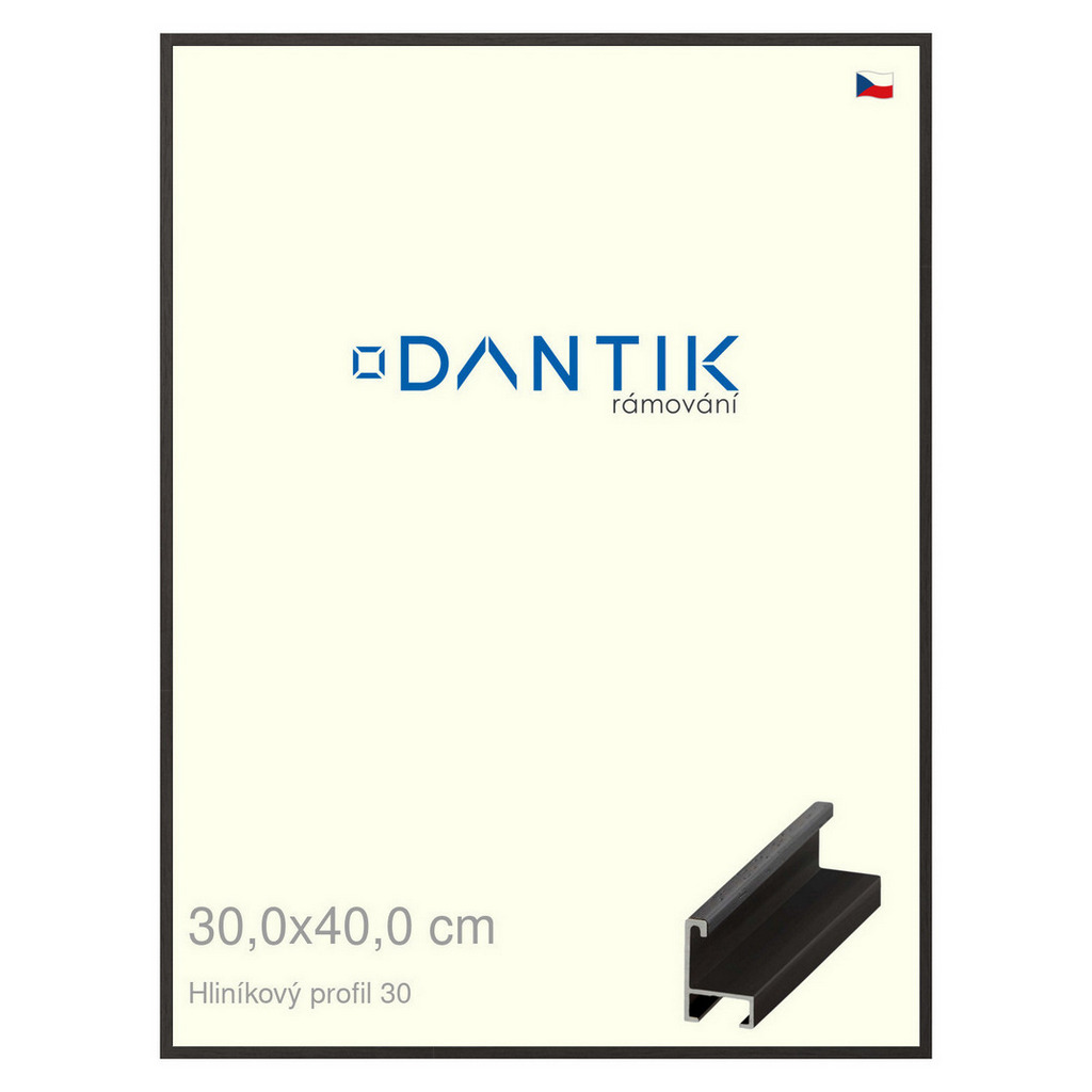 DANTIK rámeček 30x40 | ALU profil 6030 Dýha černá (Plexi Čiré)