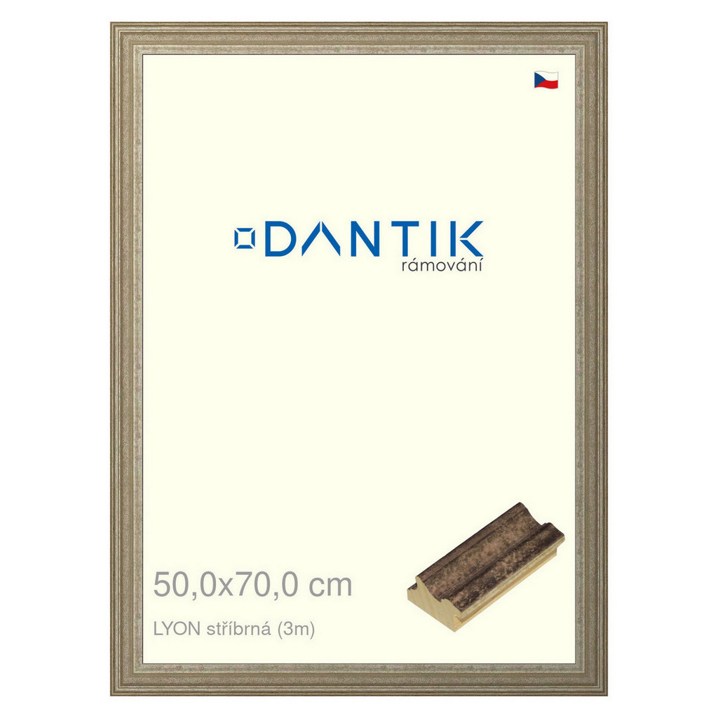 DANTIK rámeček 50x70 | LYON stříbrná (Plexi Čiré)