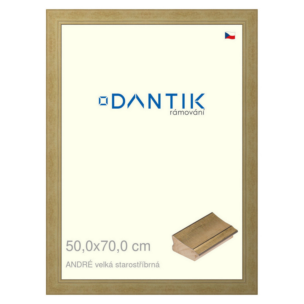 DANTIK rámeček 50x70 | ANDRÉ velká starostříbrná (Plexi Čiré)