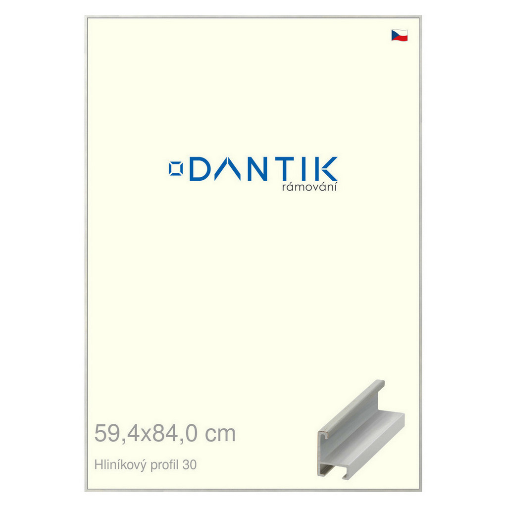 DANTIK rámeček 59,4x84 | ALU profil 6030 Dýha barevná šedá světlá (Plexi Čiré)