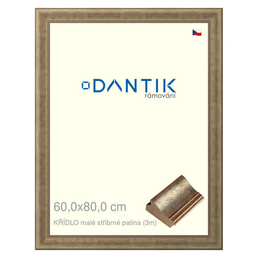 DANTIK rámeček 60x80 | KŘÍDLO malé stříbrné patina (Plexi Čiré)