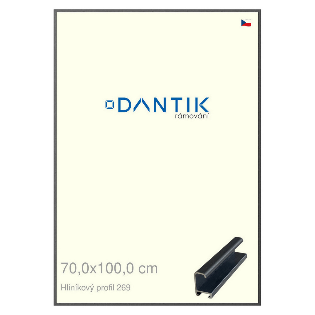 DANTIK rámeček 70x100 | ALU profil 7269 Šedá Oplal broušená (Plexi Čiré)