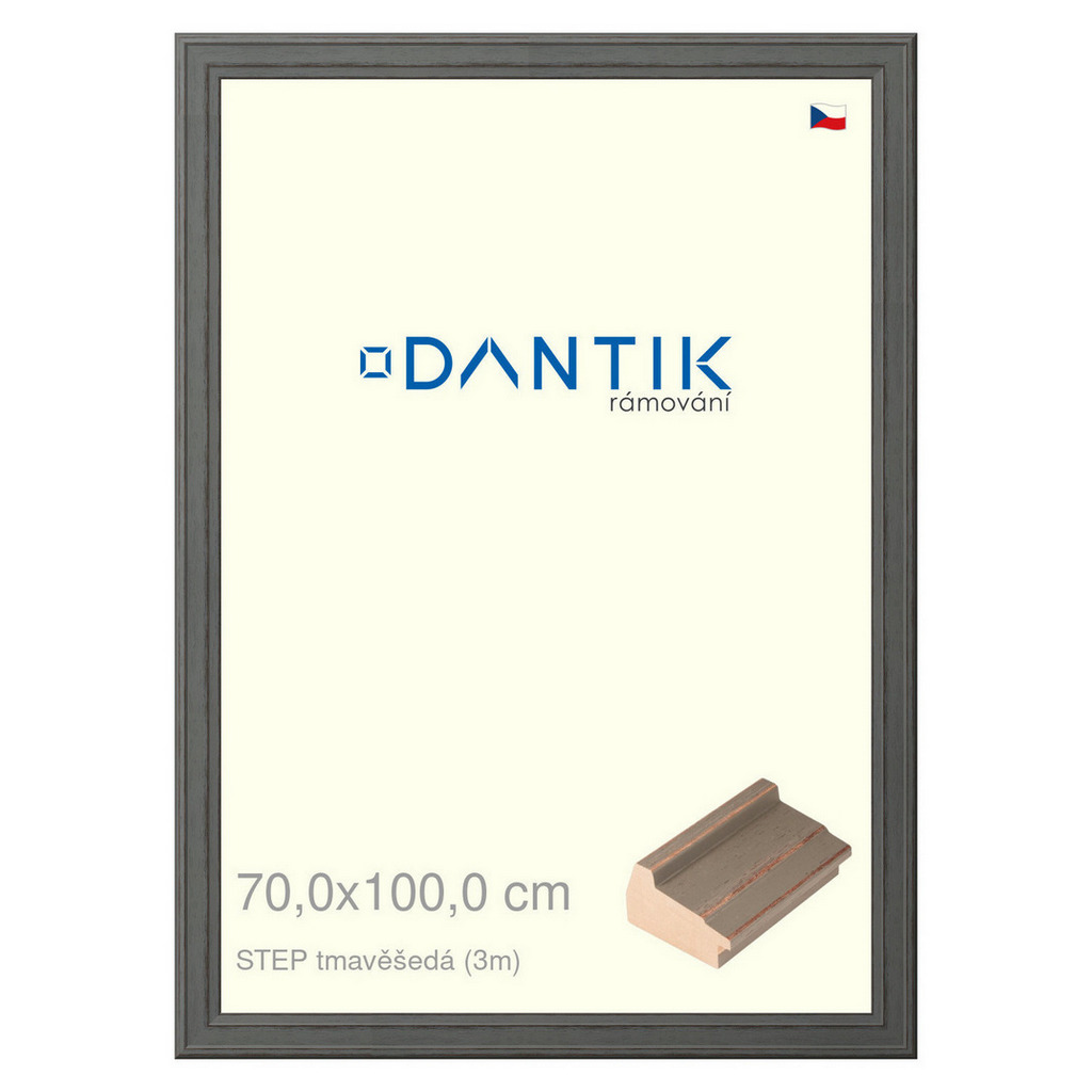 DANTIK rámeček 70x100 | STEP tmavěšedá (Plexi Čiré)