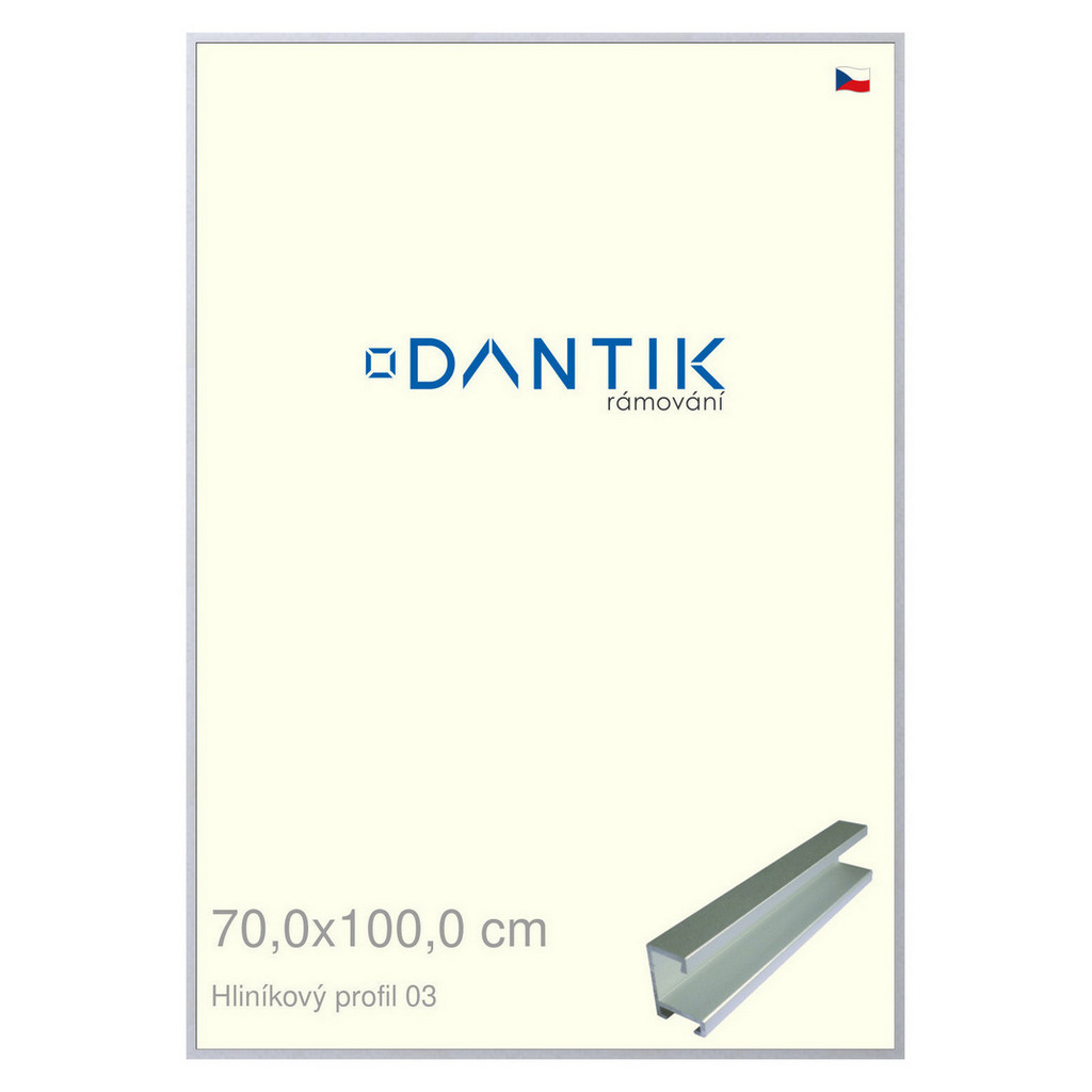 DANTIK rámeček 70x100 | ALU profil 7003 Stříbrná matná (Plexi Čiré)