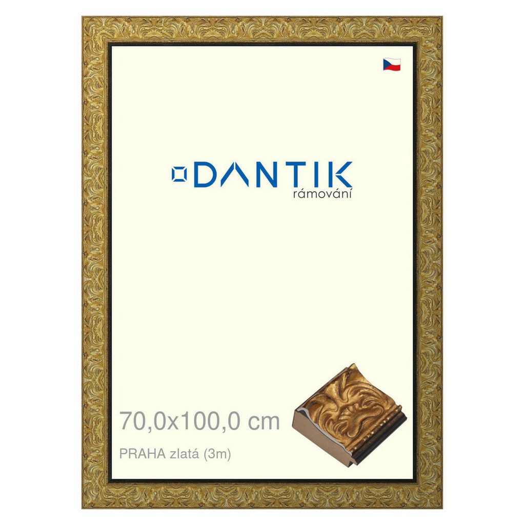 DANTIK rámeček 70x100 | PRAHA zlatá (Plexi Čiré)