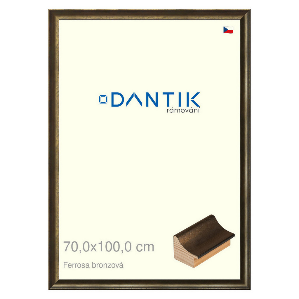 DANTIK rámeček 70x100 | Ferrosa bronzová (Plexi Čiré)