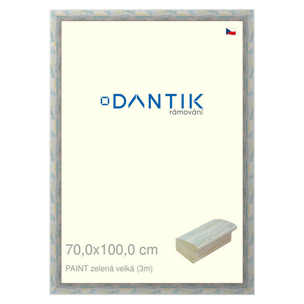 DANTIK rámeček 70x100 | PAINT zelená velká (Plexi Čiré)