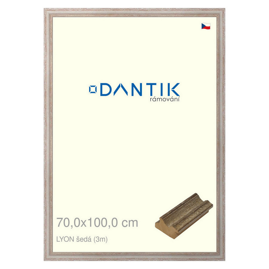 DANTIK rámeček 70x100 | LYON šedá (Plexi Čiré)