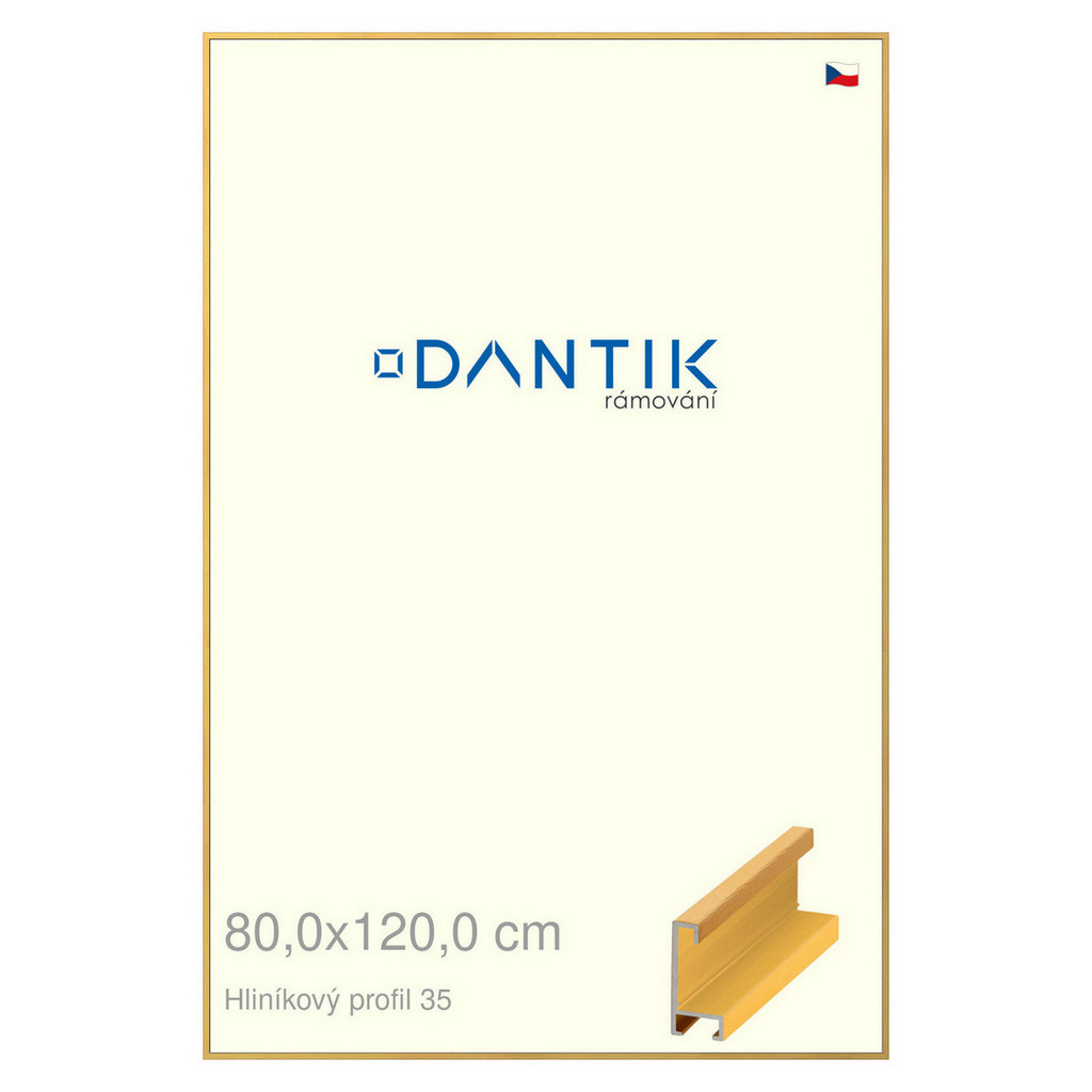 DANTIK rámeček 80x120 | ALU profil 6035 Dýha barevná žlutá (Plexi Čiré)