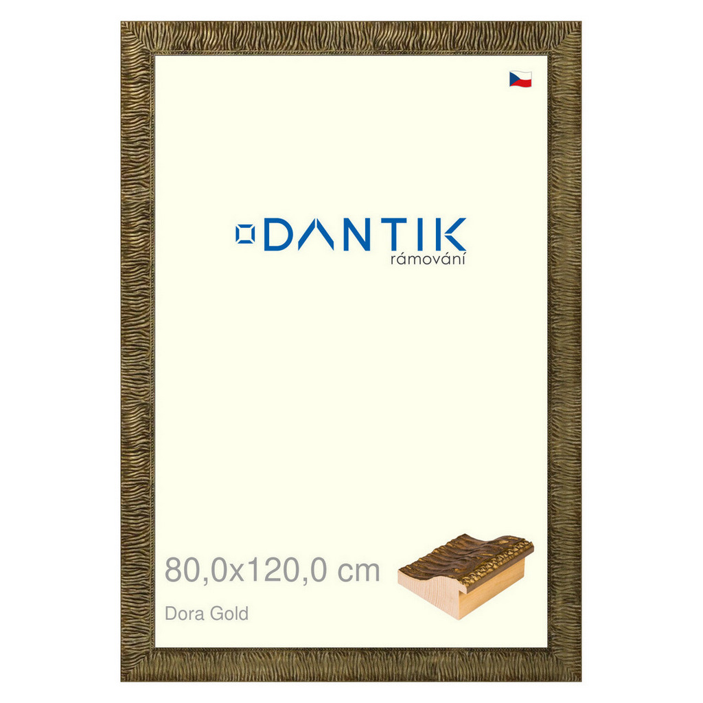 DANTIK rámeček 80x120 | Dora Gold (Plexi Čiré)