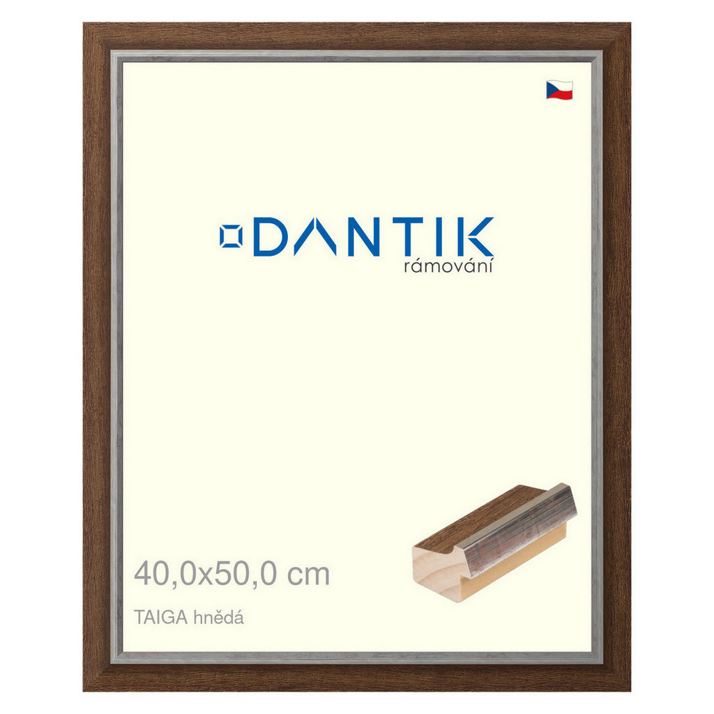 DANTIK rámeček 40x50 | TAIGA hnědá (Plexi Čiré)
