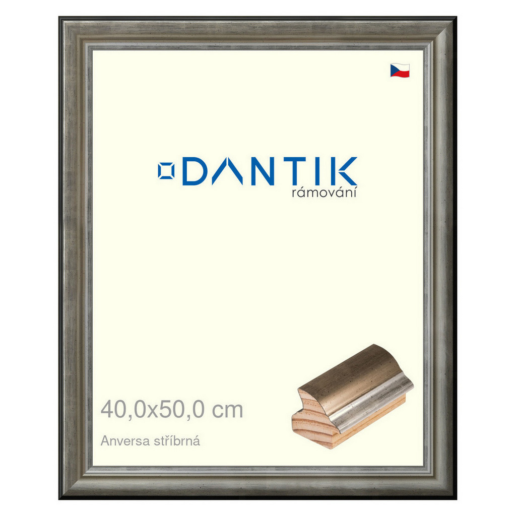 DANTIK rámeček 40x50 | ANIVERSA stříbrná (Plexi Čiré)