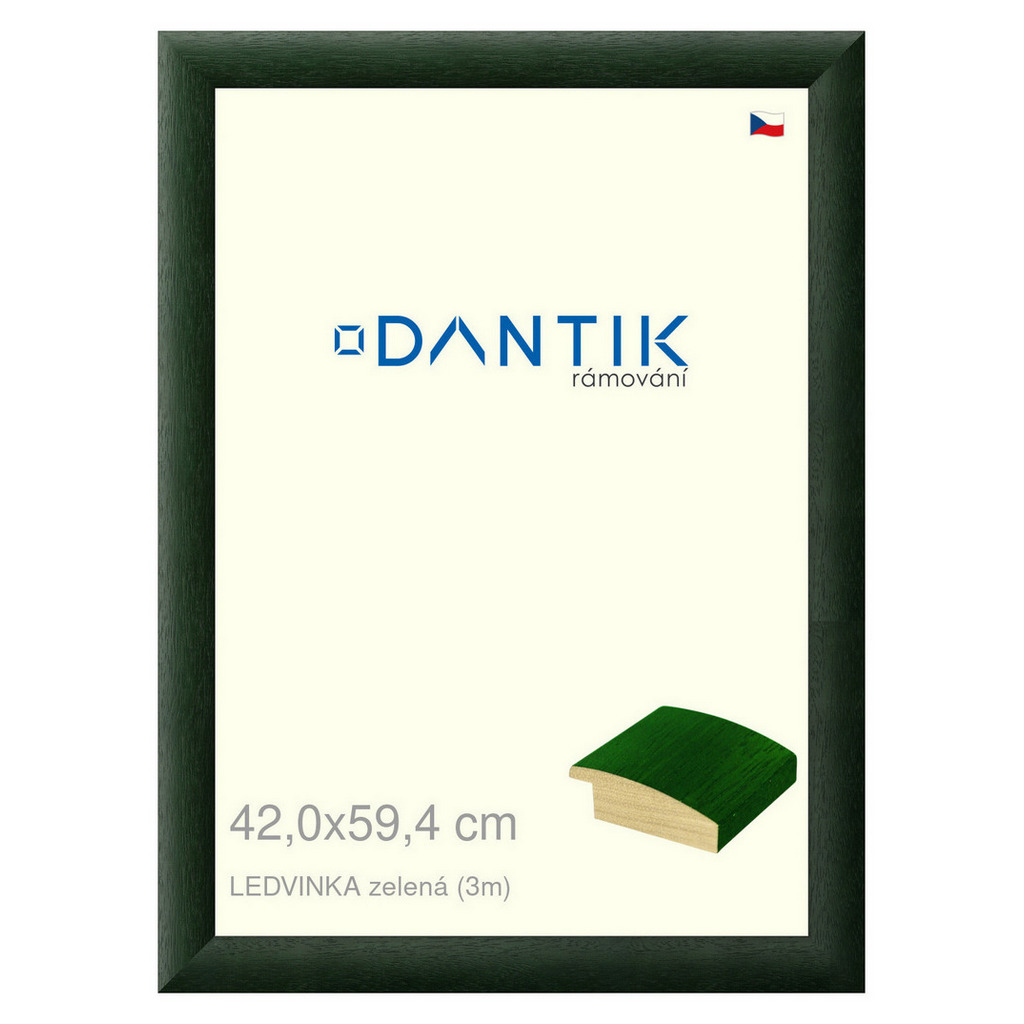 DANTIK rámeček 42x59,4 | LEDVINKA zelená (Plexi Čiré)