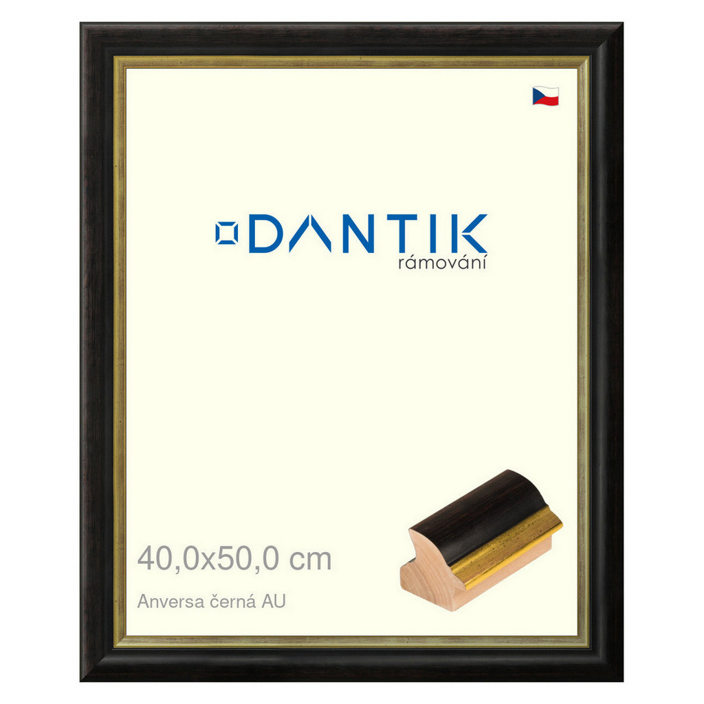 DANTIK rámeček 40x50 | ANIVERSA černá AU (Sklo Čiré)