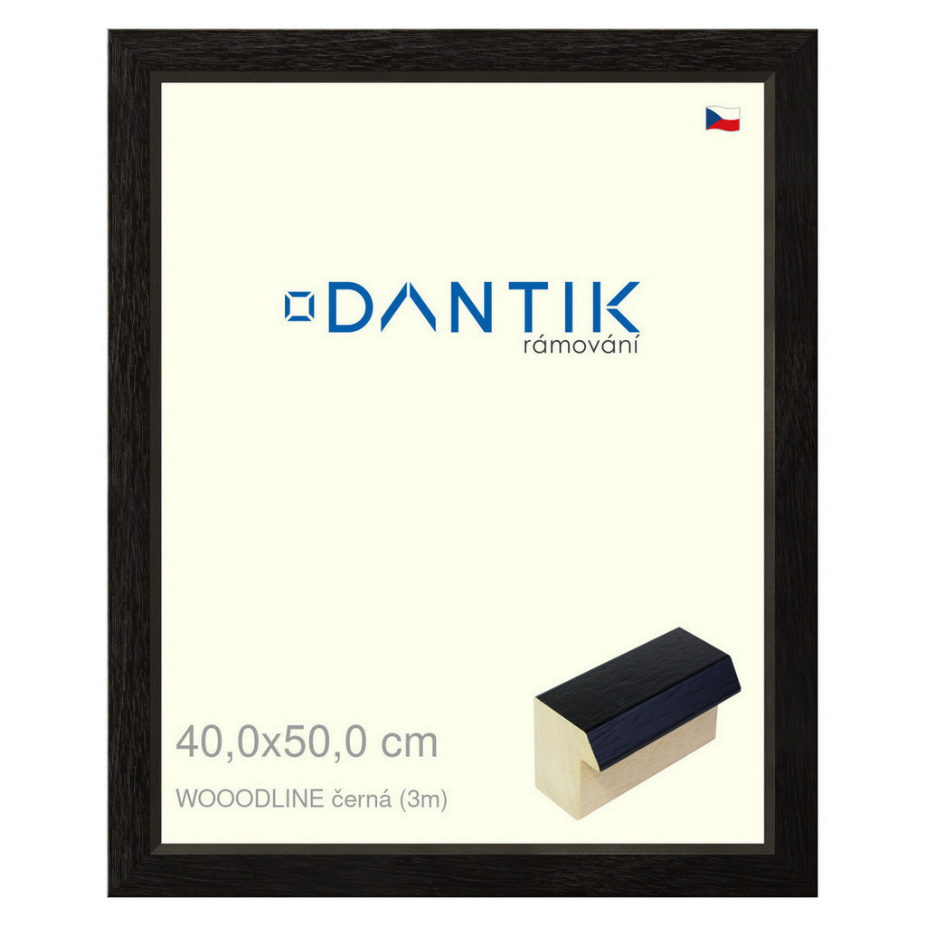 DANTIK rámeček 40x50 | WOODLINE černá (Sklo Čiré)