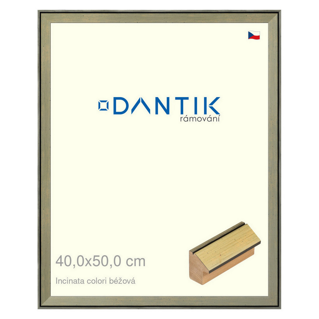 DANTIK rámeček 40x50 | INCLINATA colori béžová (Sklo Čiré)