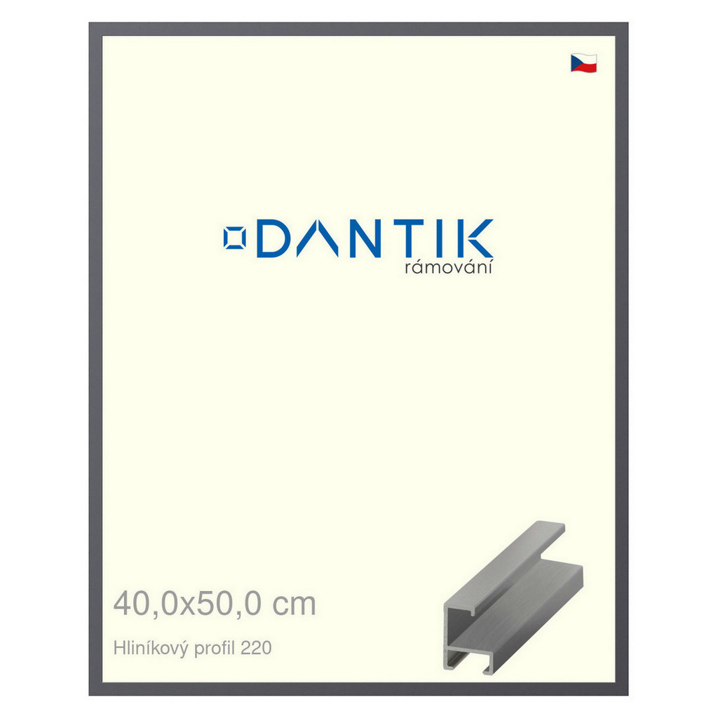 DANTIK rámeček 40x50 | ALU profil 6220 Ocelová (Sklo Čiré)