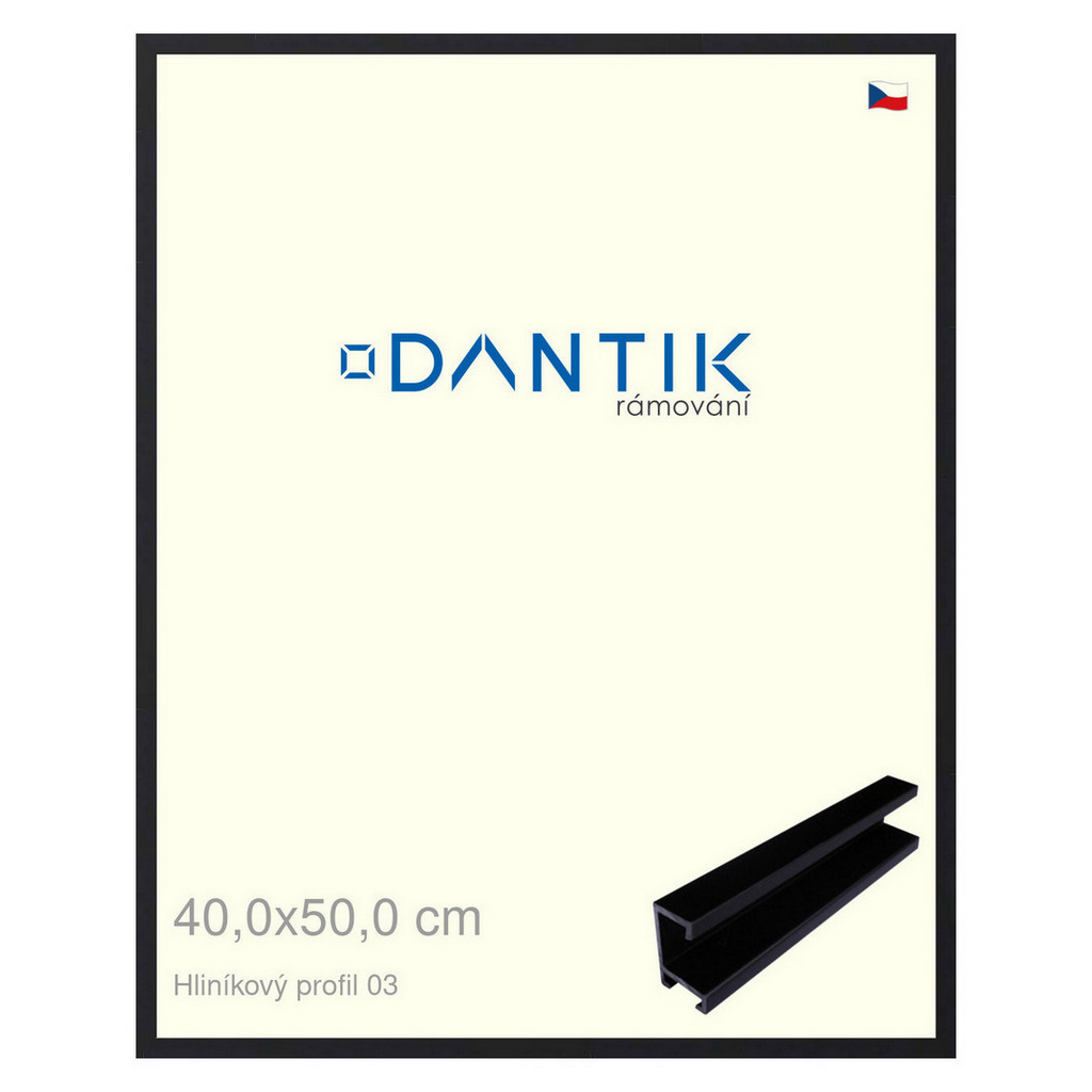 DANTIK rámeček 40x50 | ALU profil 7003 Černá matná (Sklo Čiré)