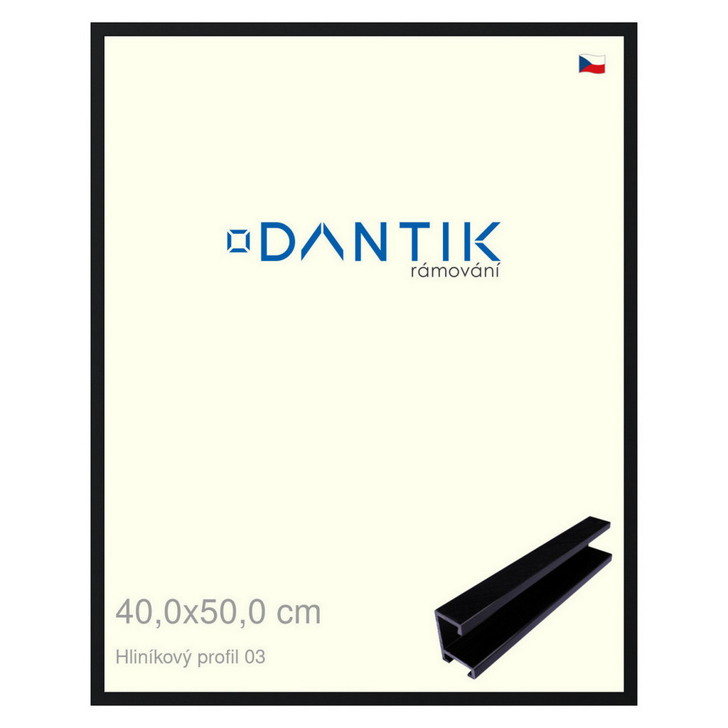 DANTIK rámeček 40x50 | ALU profil 7003 Černá Florentinská (Sklo Čiré)