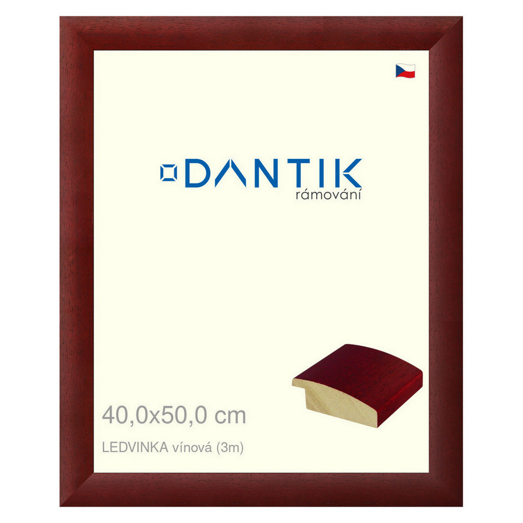 DANTIK rámeček 40x50 | LEDVINKA vínová (Sklo Čiré)