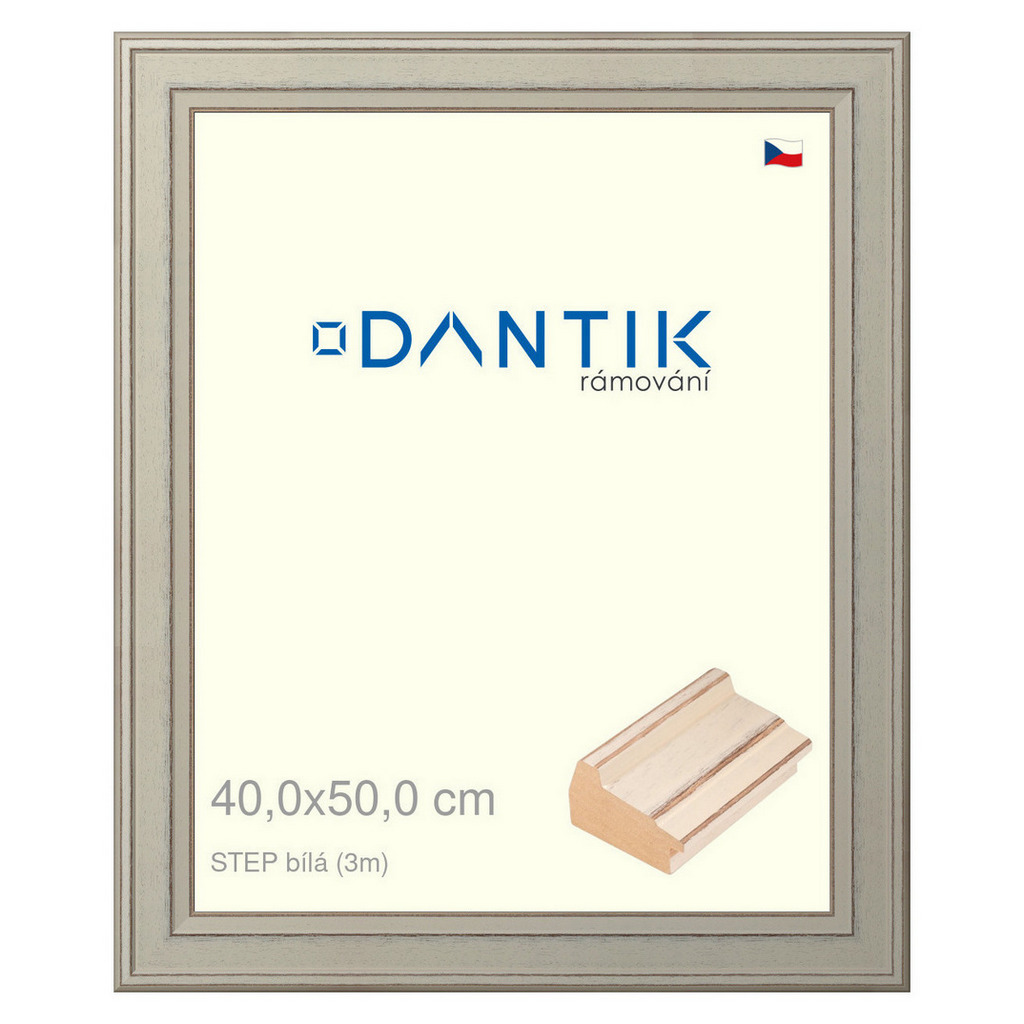 DANTIK rámeček 40x50 | STEP bílá (Sklo Čiré)