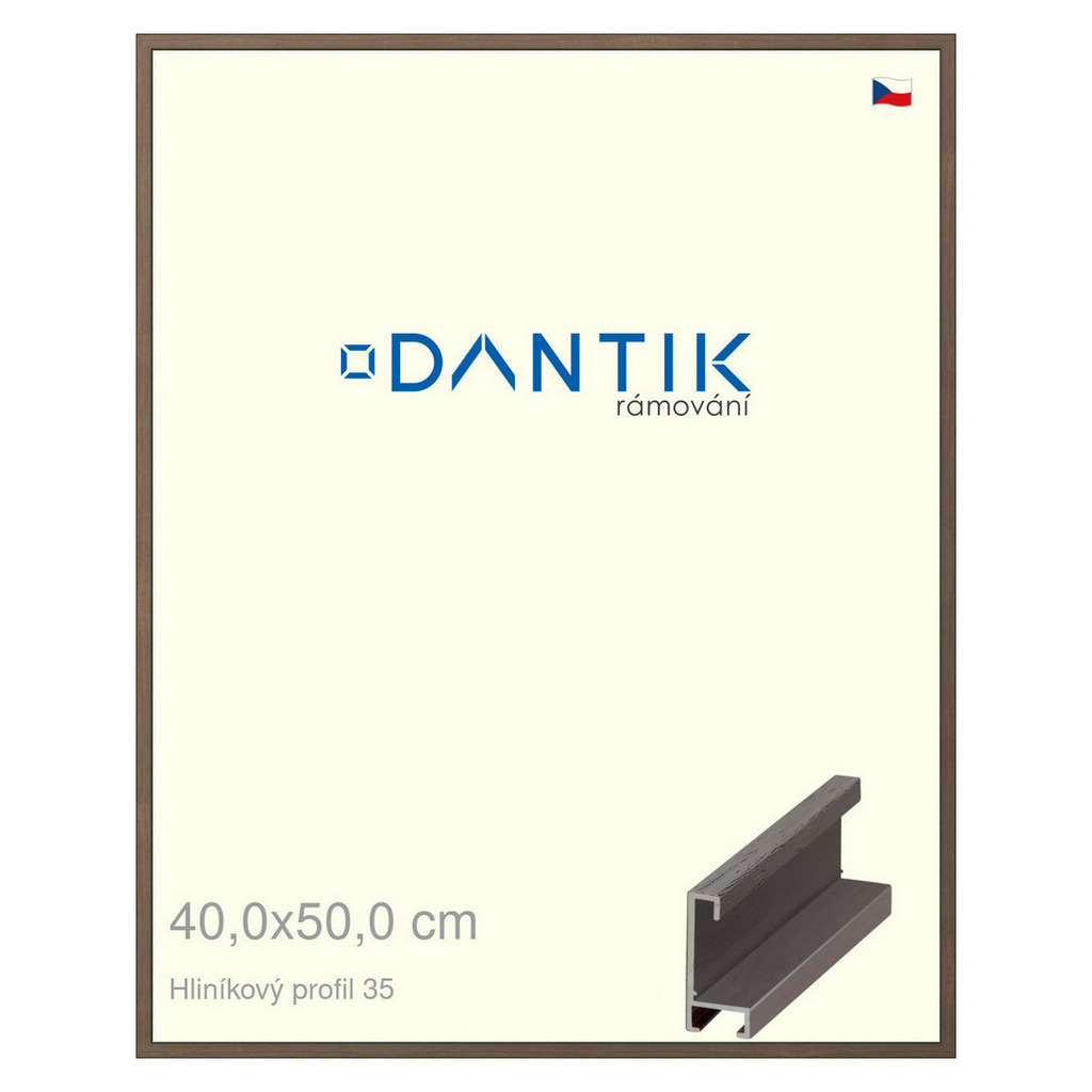 DANTIK rámeček 40x50 | ALU profil 6035 Hnědá tmavá (Sklo Čiré)