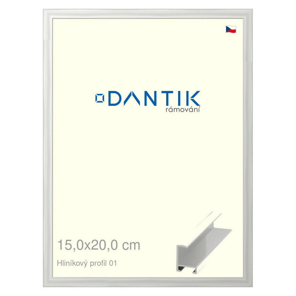 DANTIK rámeček 15x20 | ALU profil 6001 Stříbrná lesklá (Sklo Čiré)