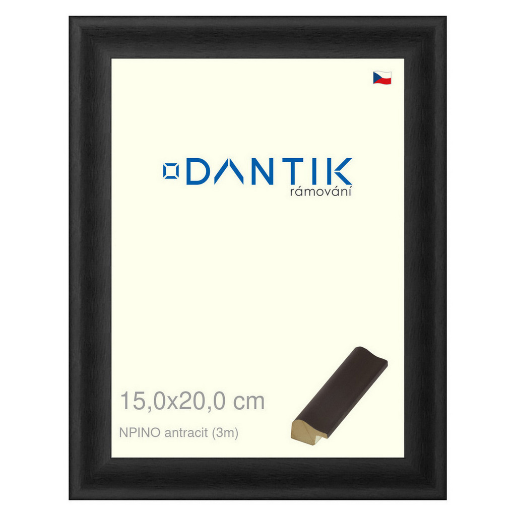 DANTIK rámeček 15x20 | NPINO antracit (Sklo Čiré)