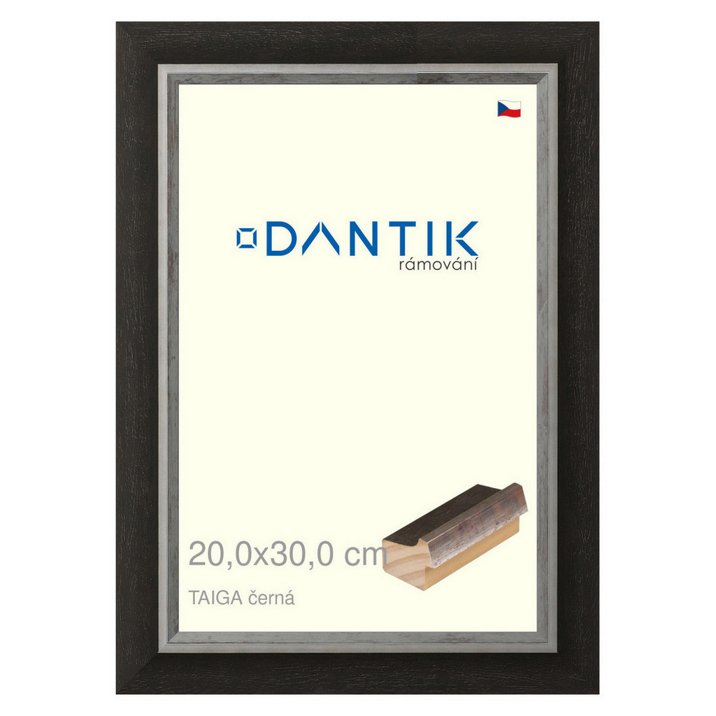 DANTIK rámeček 20x30 | TAIGA černá (Sklo Čiré)