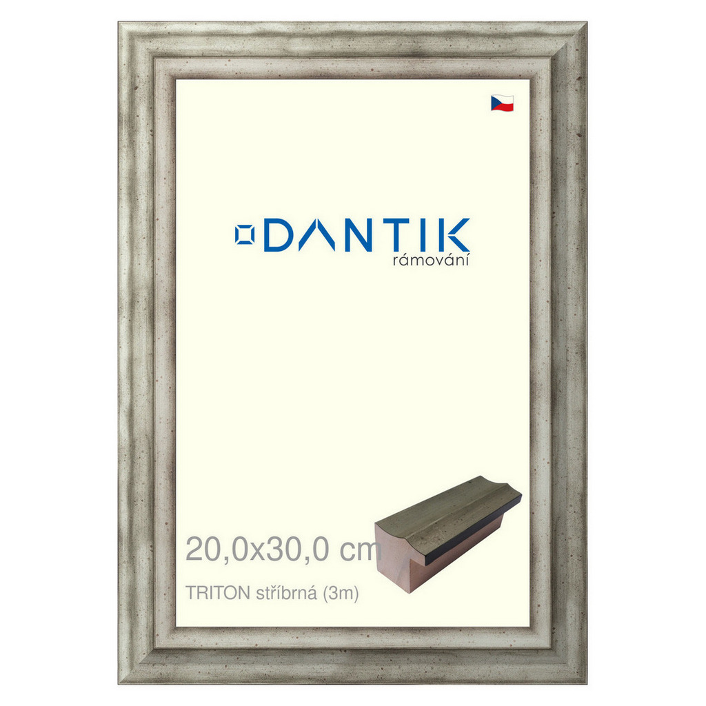 DANTIK rámeček 20x30 | TRITON stříbrná (Sklo Čiré)