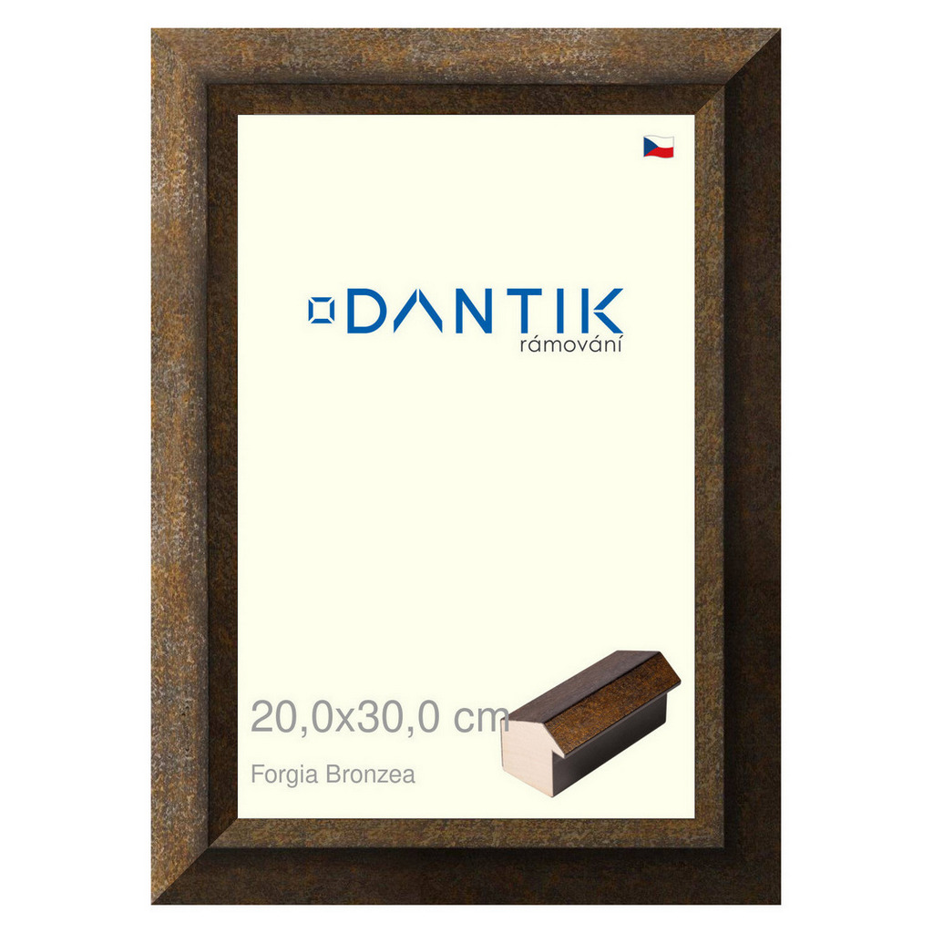 DANTIK rámeček 20x30 | Forgia Bronzea (Sklo Čiré)