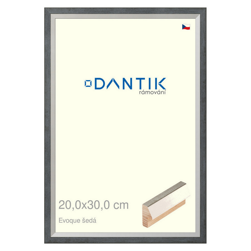 DANTIK rámeček 20x30 | EVOQUE šedá (Sklo Čiré)