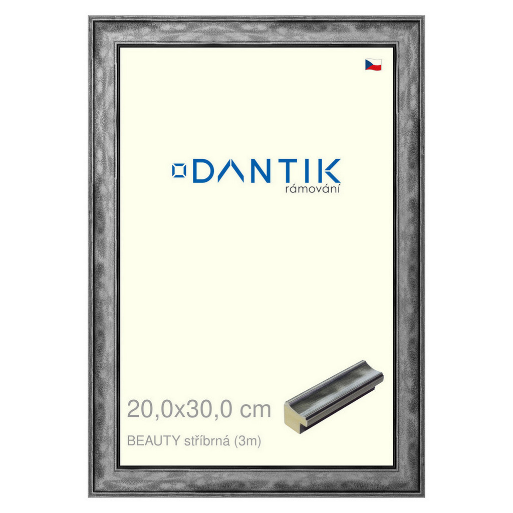 DANTIK rámeček 20x30 | BEAUTY stříbrná (Sklo Čiré)