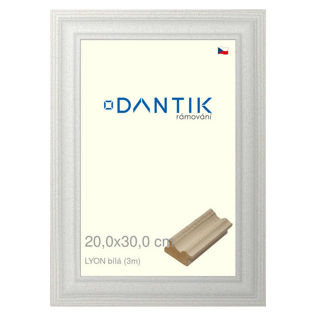 DANTIK rámeček 20x30 | LYON Bílá (Sklo Čiré)