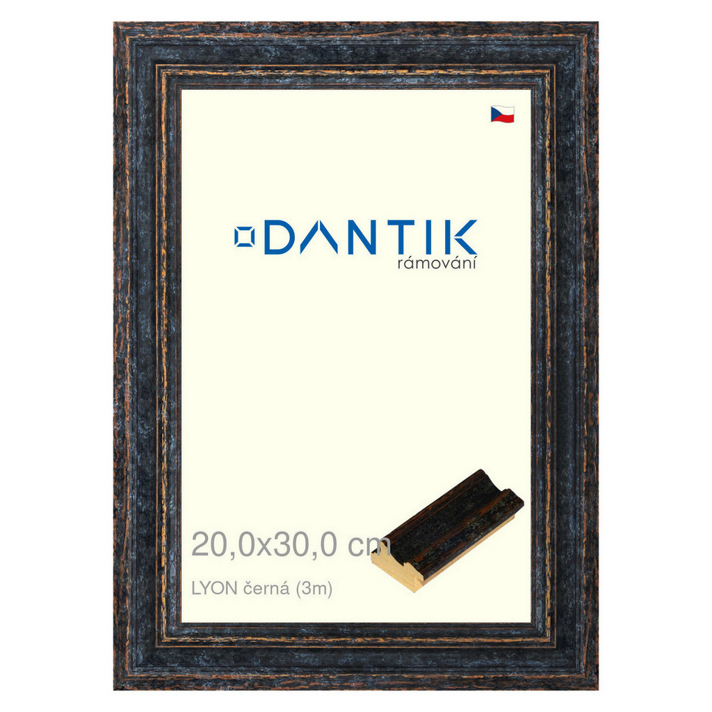 DANTIK rámeček 20x30 | LYON černá (Sklo Čiré)