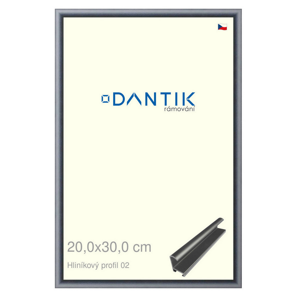 DANTIK rámeček 20x30 | ALU profil 7002 Platina matná (Sklo Čiré)