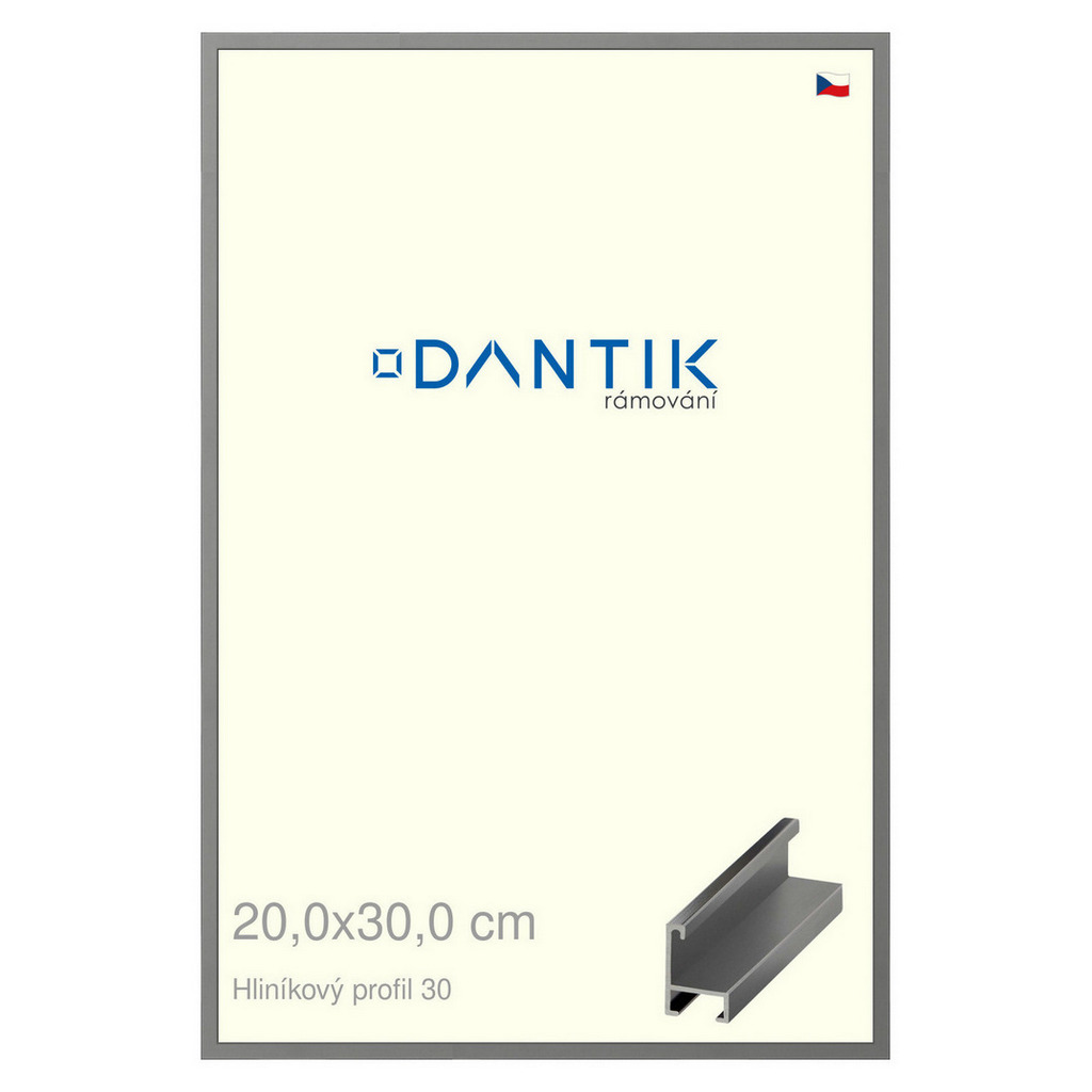 DANTIK rámeček 20x30 | ALU profil 6030 Ocelová (Sklo Čiré)