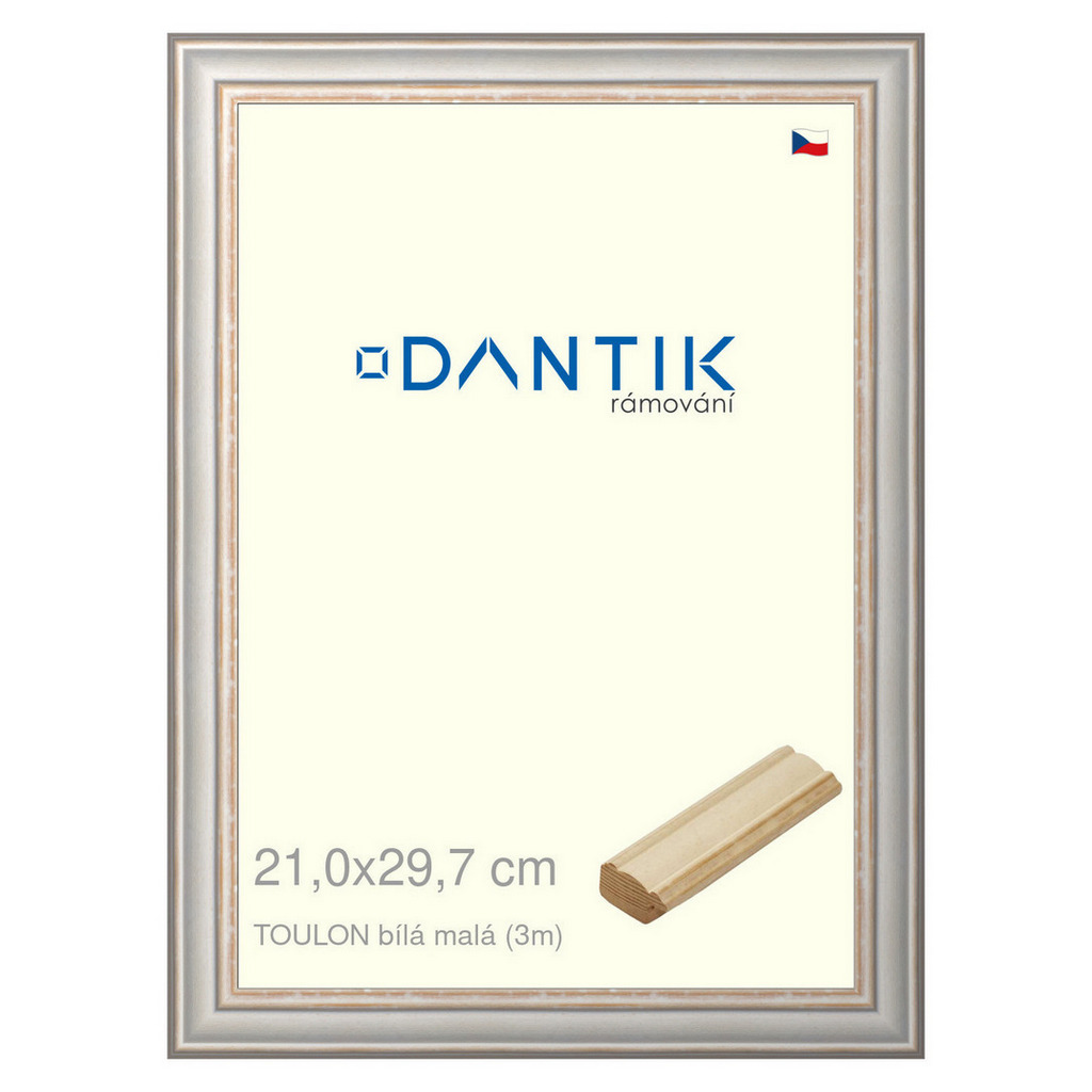 DANTIK rámeček 21x29,7 | TOULON bílá malá (Sklo Čiré)