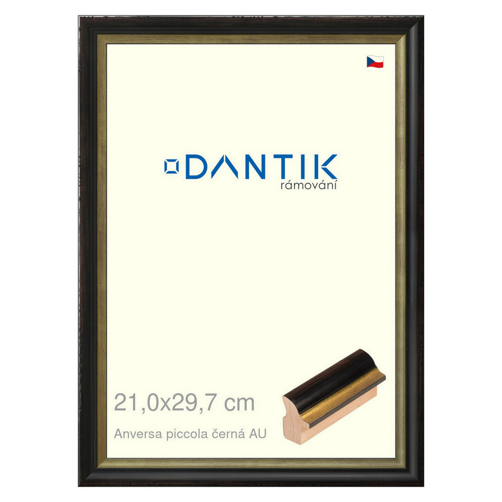 DANTIK rámeček 21x29,7 | ANIVERSA piccola černá AU (Sklo Čiré)