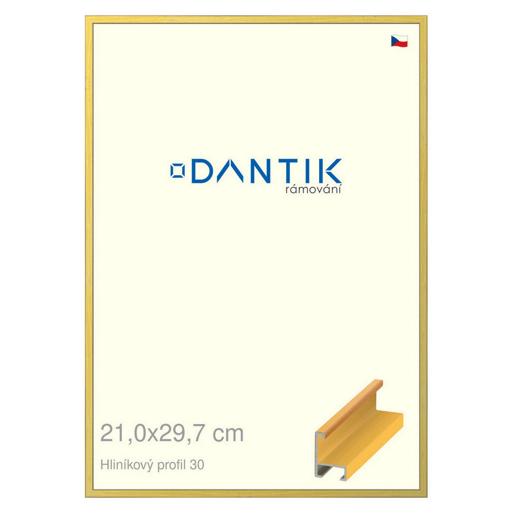 DANTIK rámeček 21x29,7 | ALU profil 6030 Dýha barevná žlutá (Sklo Čiré)
